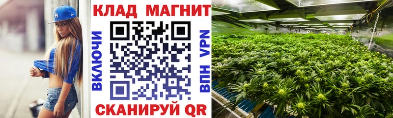 Какие есть наркотики Дятьково Кокаин МАРИХУАНА Мефедрон ГАШИШ