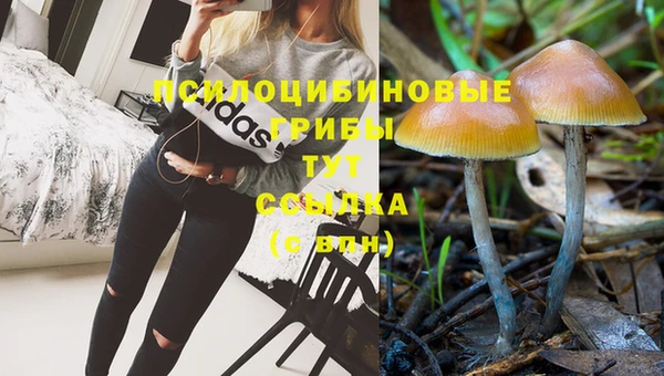 прущая мука Горняк