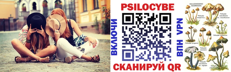 Галлюциногенные грибы Psilocybe Дятьково